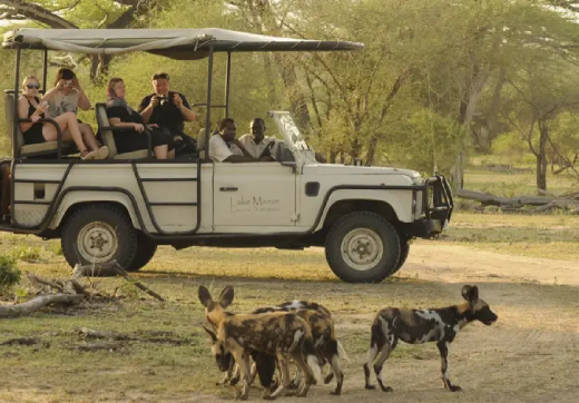 3 Days 2 Nights Serengeti Safari From Zanzibar